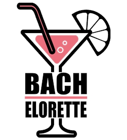 Bachelorette Party t-shirt design 32