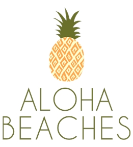 Beach t-shirt design 64