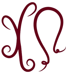 Chi Omega t-shirt design 100