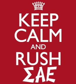 Sigma Alpha Epsilon t-shirt design 85