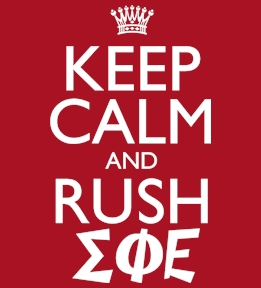 Sigma Phi Epsilon t-shirt design 84
