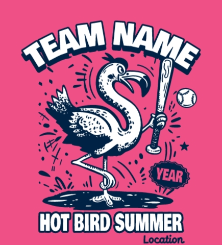 Softball t-shirt design 3