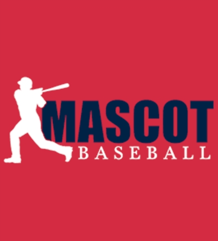 Baseball t-shirt design 48