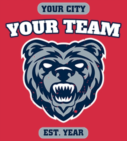Baseball t-shirt design 19