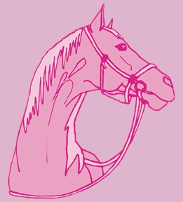 Horsebackriding t-shirt design 24