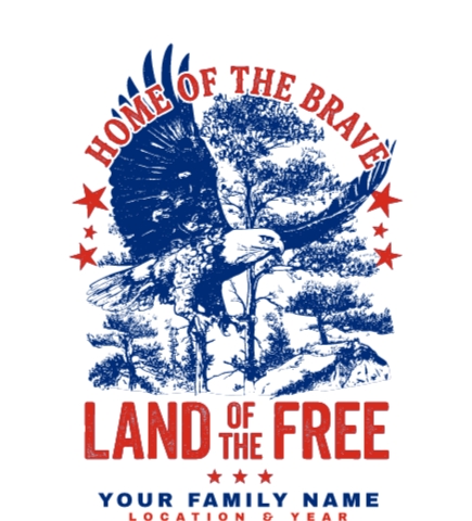 America t-shirt design 13