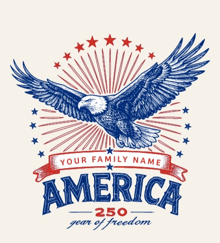 America t-shirt design 3