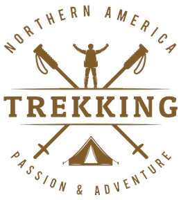 Camping t-shirt design 59