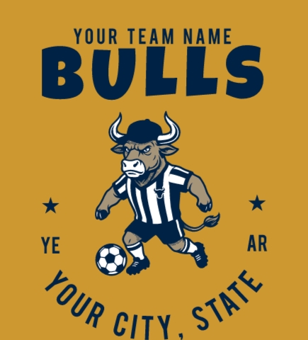 Sports t-shirt design 17